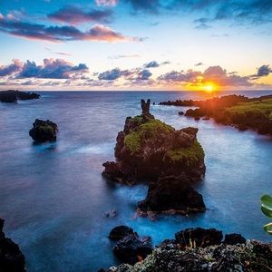 Meet your Posher, Esperanza